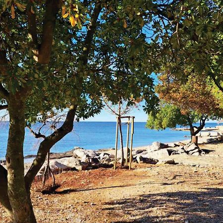 Apartment Istria Zambratija  Bagian luar foto