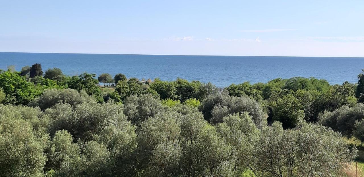 Apartment Istria Zambratija  Bagian luar foto